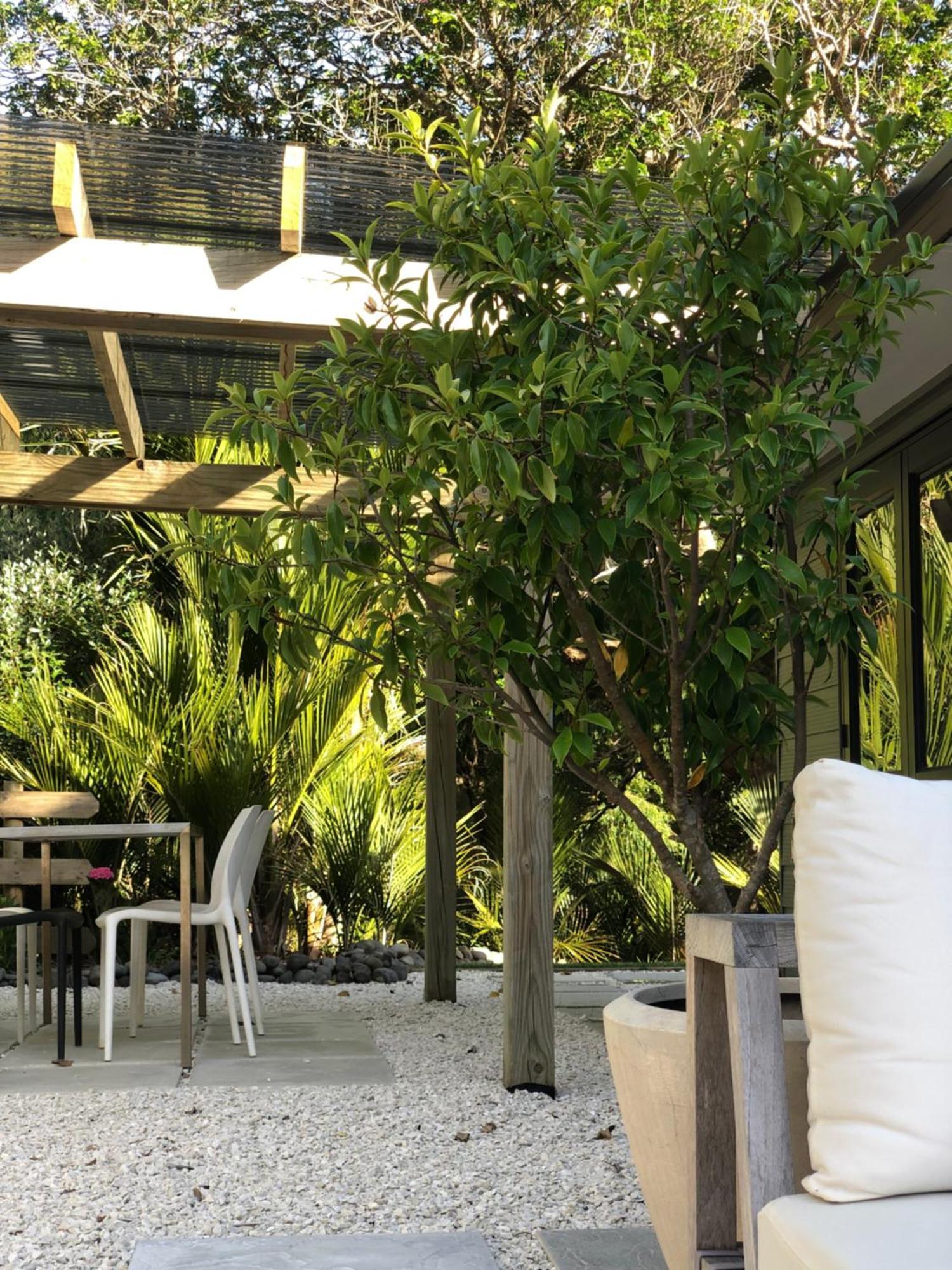 Villetta - Matakana Boutique Luxury Accommodation Eksteriør bilde